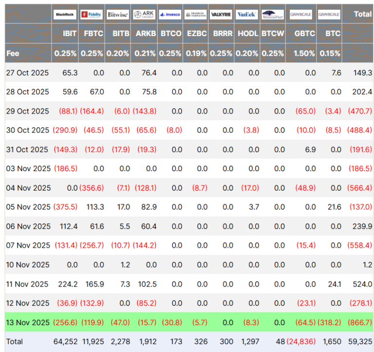 Bitcoin ETFs bleed $866M in second-worst day on record, but some analysts still bullish