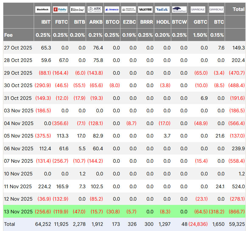 Bitcoin ETFs bleed $866M in second-worst day on record, but some analysts still bullish
