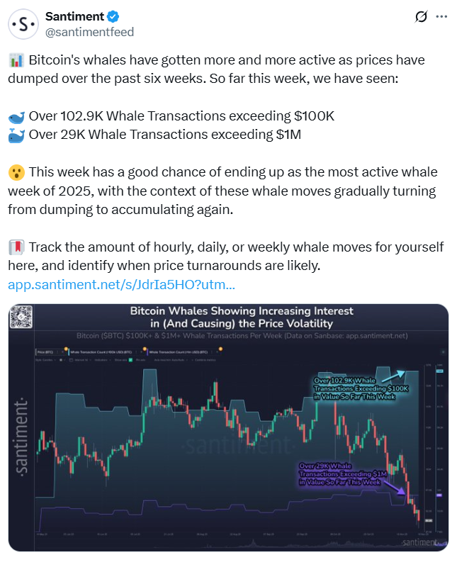 Bitcoin whale activity on track for its biggest week this year: Analysts