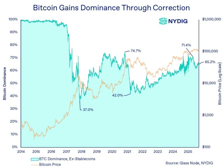 Bitcoin’s demand engines reverse, but long-term trajectory intact: NYDIG