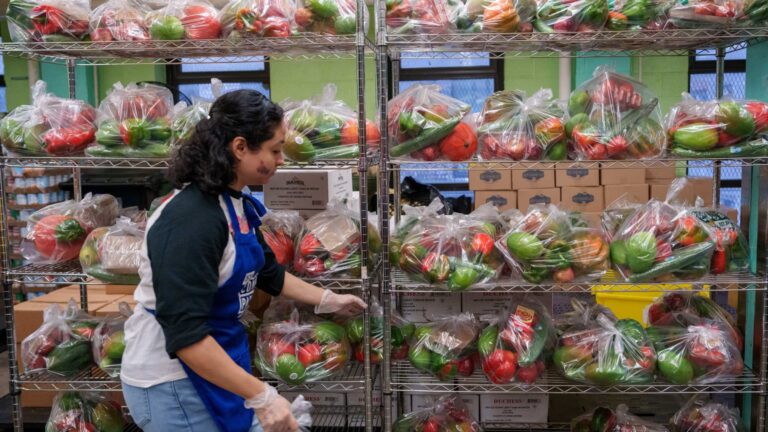 While SNAP battle leaves Americans fearing hunger, near $400 billion in food wasted every year
