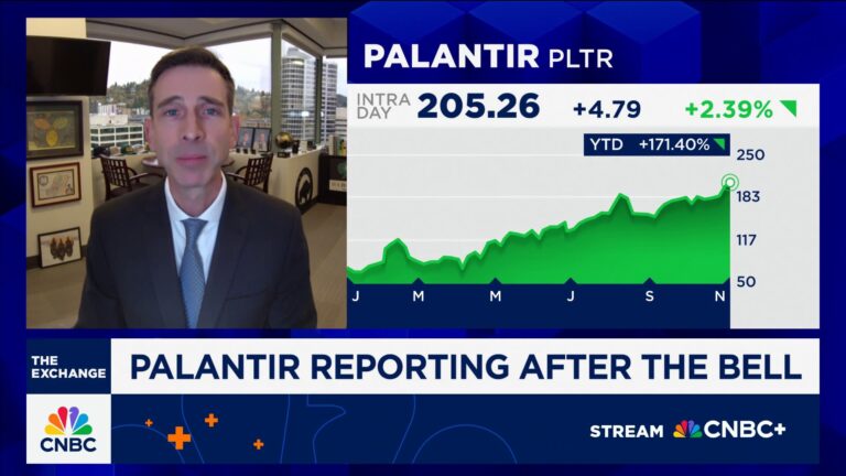Palantir is the best software company and it's not even close, says D.A. Davidson's Gil Luria