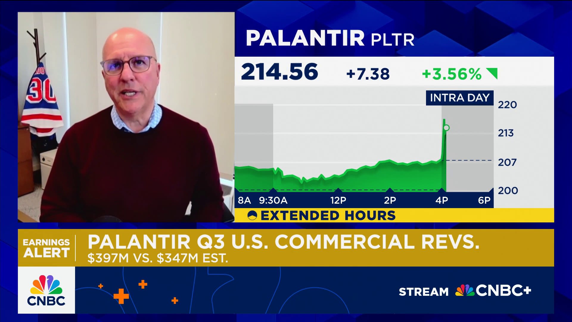 Stocks like Palantir and Mag 7 are not 'unique' to the market, says Richard Bernstein