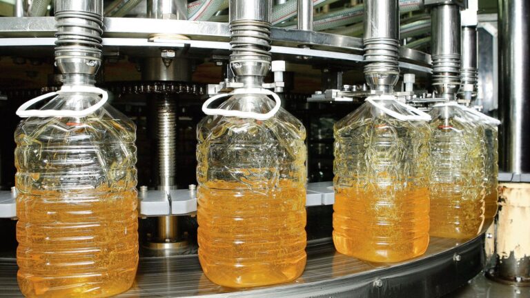 AWL Agri Business Q2 Results: PAT falls 21% YoY despite growth in revenue. Details here