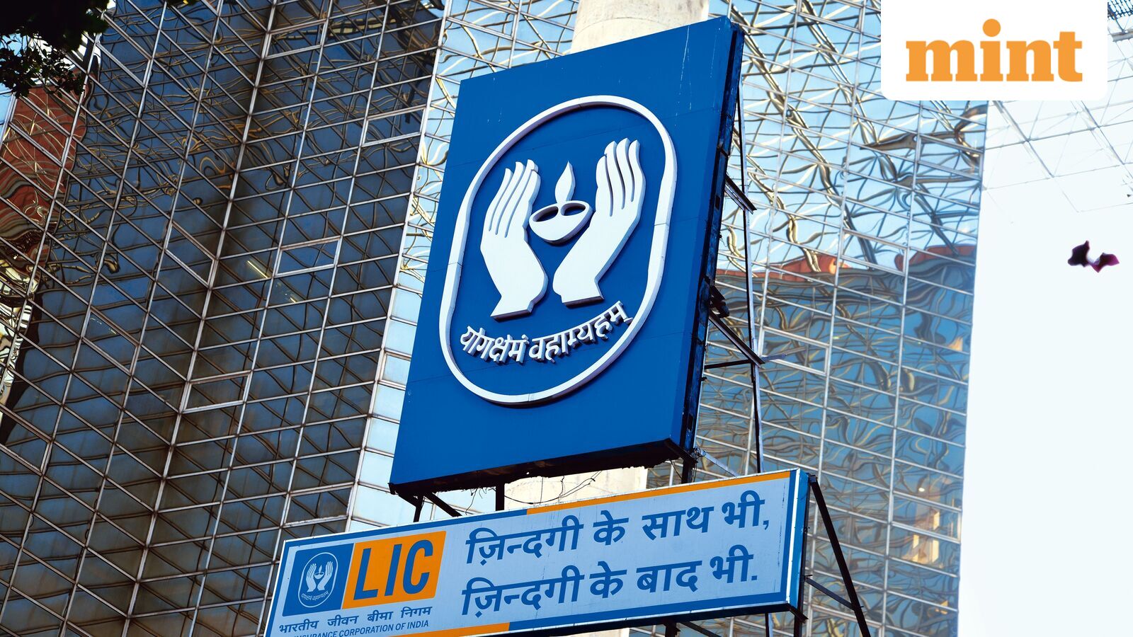 LIC Q2 Results: Profit surges 31% YoY to  ₹10,098 crore. Check details