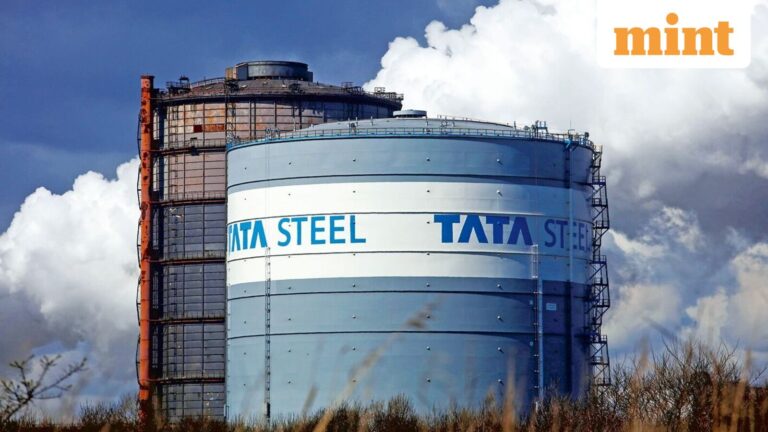 Indian Metals to acquire Tata Steel asset worth  ₹610 crore, declares  ₹5 per share dividend