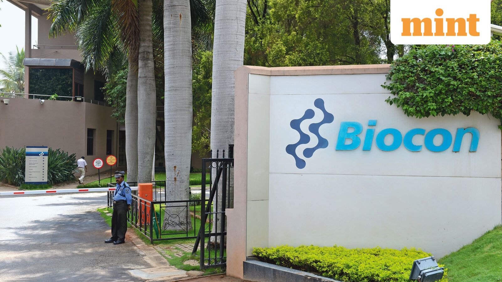 Biocon share price jumps over 4% to hit 52-week high on reports of restructuring; Biologics IPO, merger under review