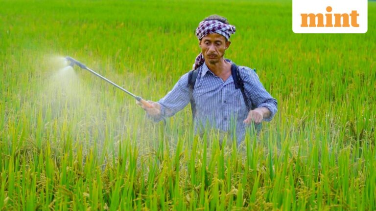 Best Agrolife share price extends rally, zooms 37% in two days as board to consider stock split, bonus issue | Stock Market News