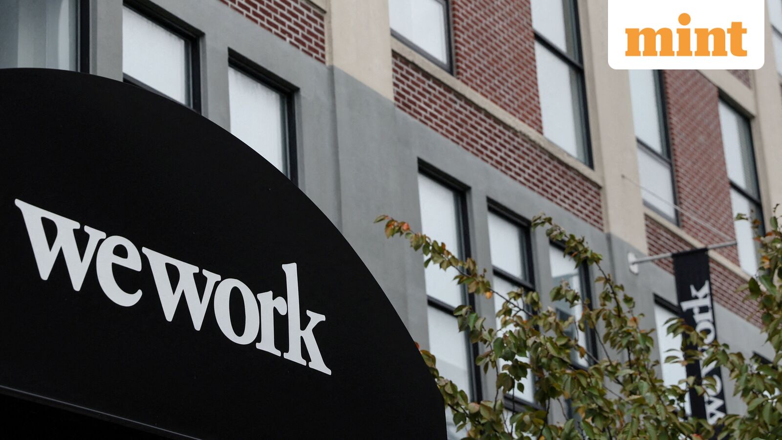 WeWork India Q2 results: Revenue rises but profit tumbles 96% YoY