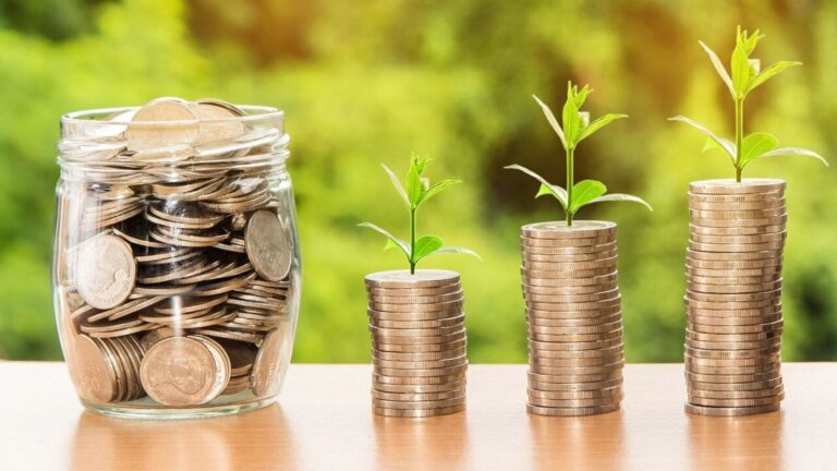 TVS Capital joins the search for AI-powered IT disruptor