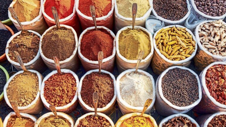 Shreeji Global FMCG IPO: Issue booked 25% so far on first day — Check issue size, GMP and other key details