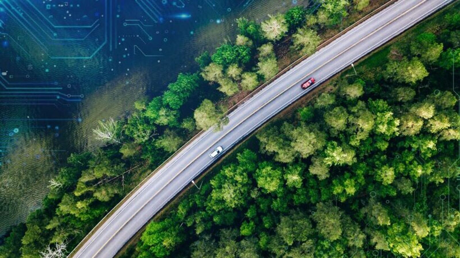 Tenneco Clean Air IPO opens tomorrow: GMP, issue details, 10 key things to know