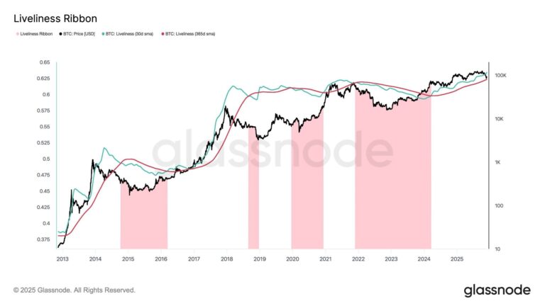Rising Bitcoin ‘liveliness’ indicator suggests bull market may continue: analysts