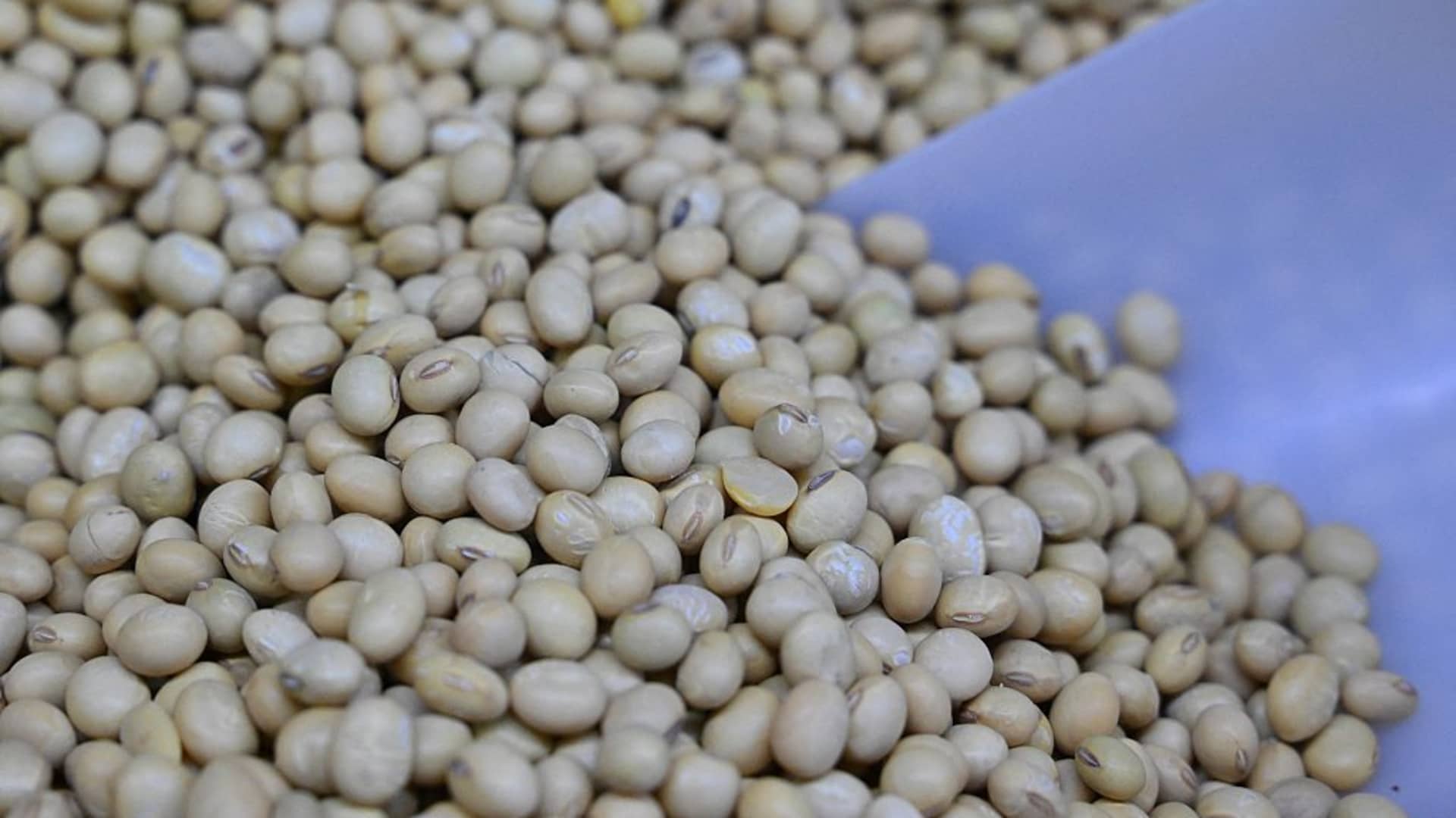 U.S.-China soybean tussle reveals Beijing’s food security strategy. Goldman Sachs on how to invest