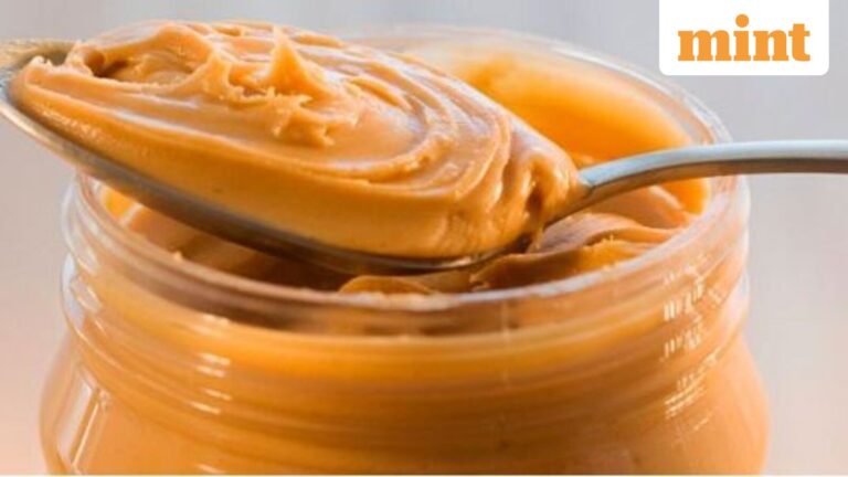 Mother Nutri Foods IPO allotment date likely today. GMP, steps to check share allotment status online for SME IPO