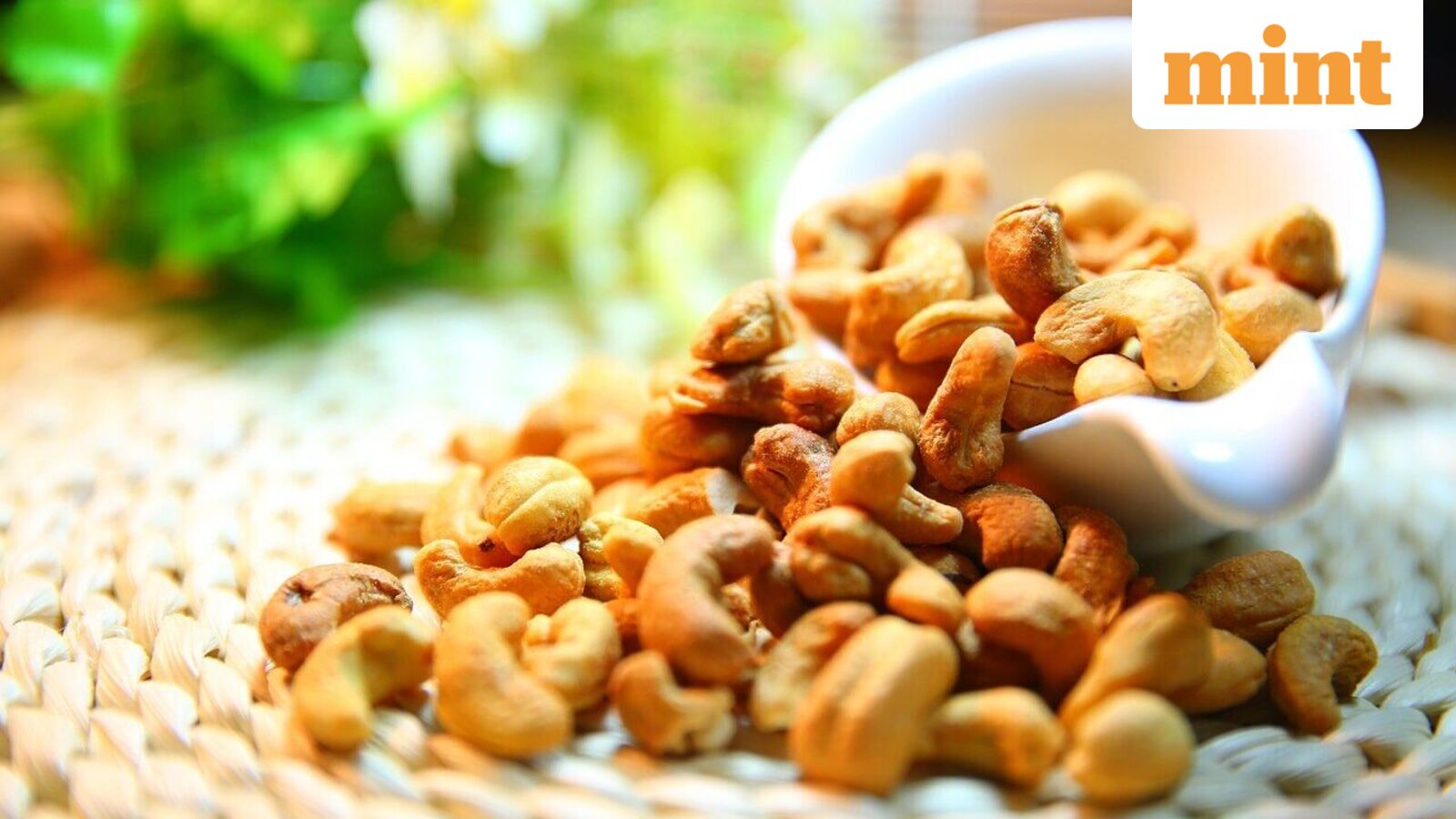 Pajson Agro India IPO allotment date in focus: Check steps to track status, latest GMP