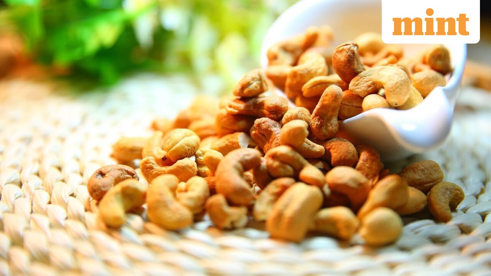 Pajson Agro India shares off to a decent start despite stock market fall, list at 5% premium on BSE SME