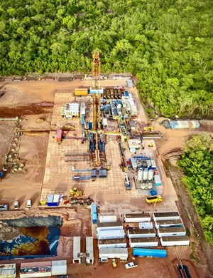 Perenco completes 12-well drilling campaign at Chad’s Badila field