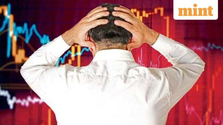 Why smallcap index fell almost 3% in November despite Nifty hitting record highs; should you still buy?