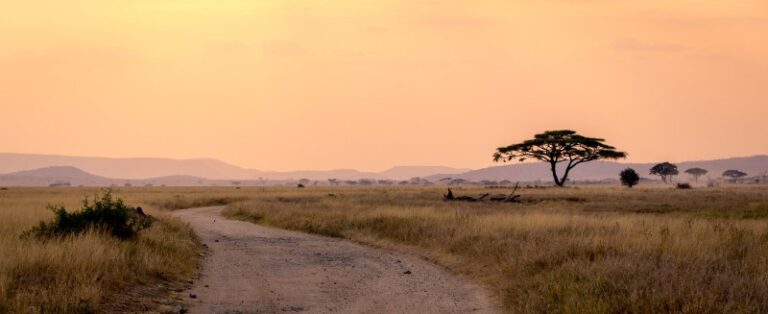 Aminex advances Tanzania’s Ntorya gas project as pipeline nears 2026 startup