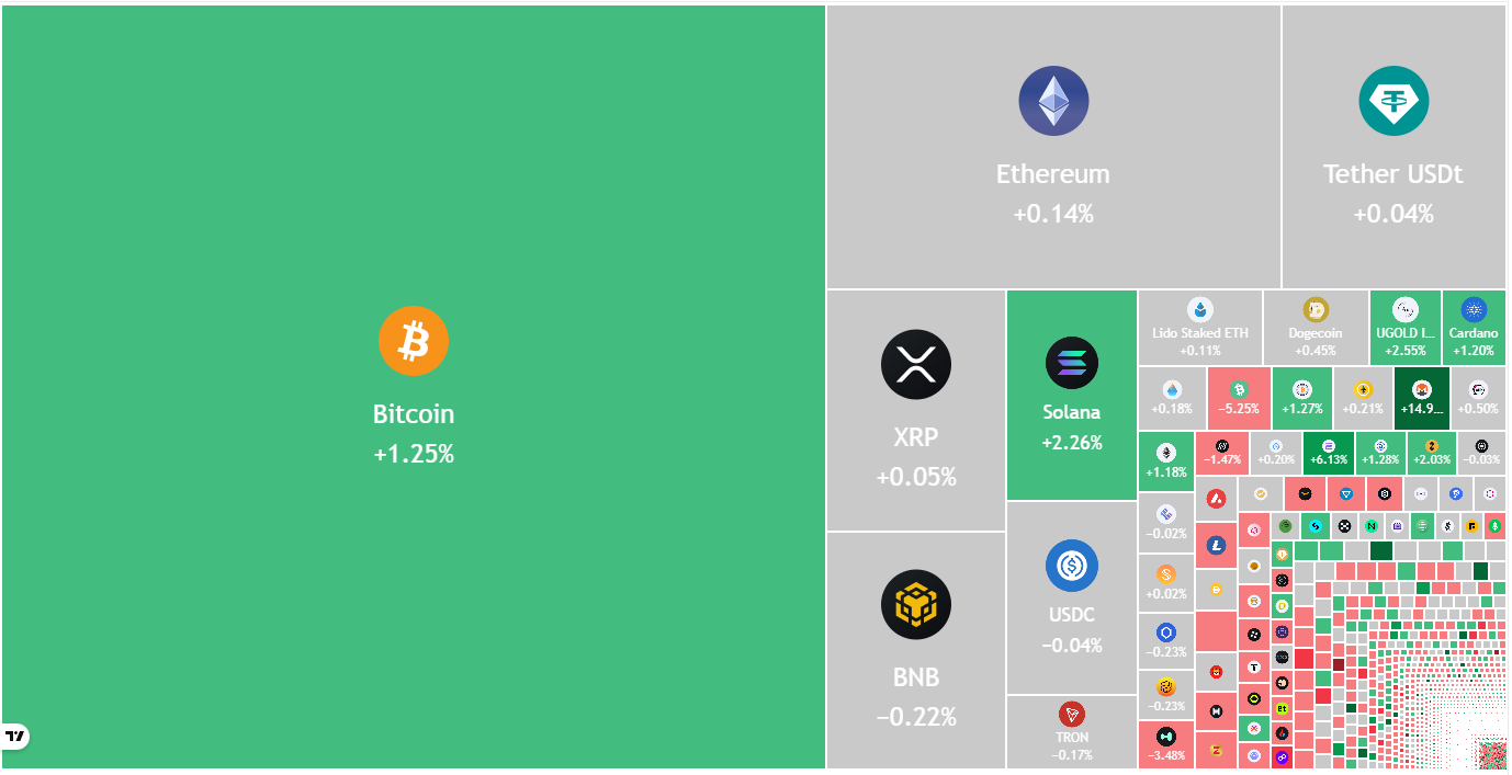 Bitcoin, Altcoins Find Firm Ground, But Bear May Sell Range Highs