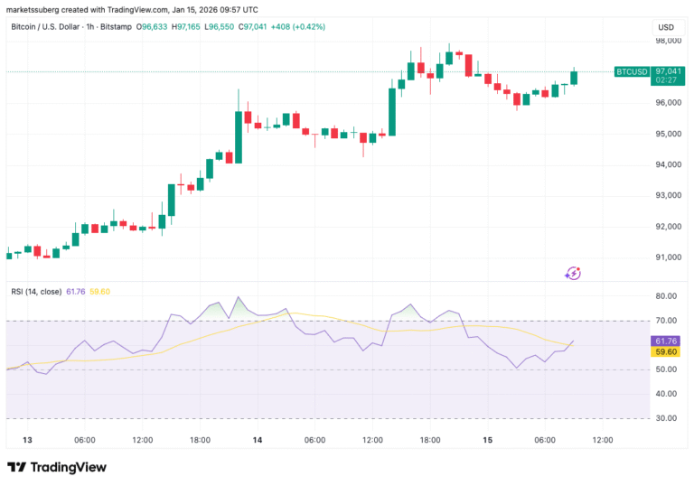 Bitcoin RSI Leads Bullish Signals With All Eyes on $101,000