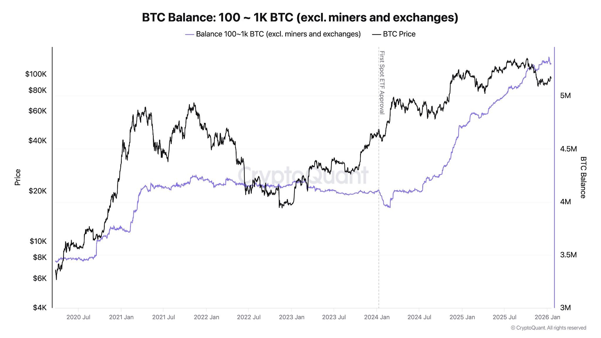 Institutions Add $53 Billion In Bitcoin As Retail Stays Fearful