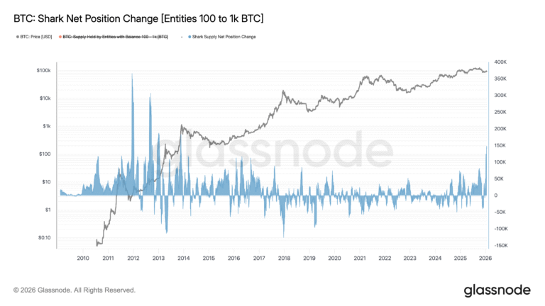 Bitcoin Sharks Accumulate Despite 'Perfect Bull Trap' Warnings
