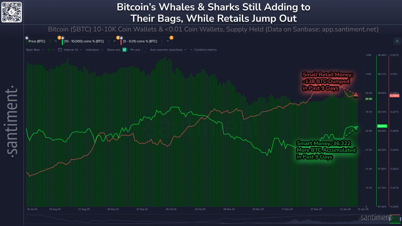 Spot Bitcoin and Ether ETFs See Heavy Outflows Amid Macro Uncertainty
