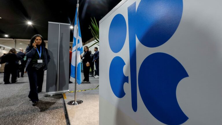 OPEC+ keeps oil output steady amid turmoil among members