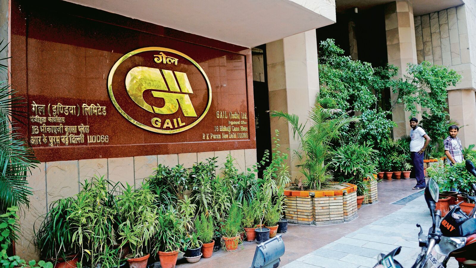 GAIL Q3 Results: Maharatna PSU firm's net profit drops 57.6% YoY to  ₹1,729 crore, dividend declared