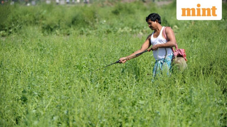 Budget 2026: From PM-KISAN to Seed Law - What’s in store for agriculture stocks