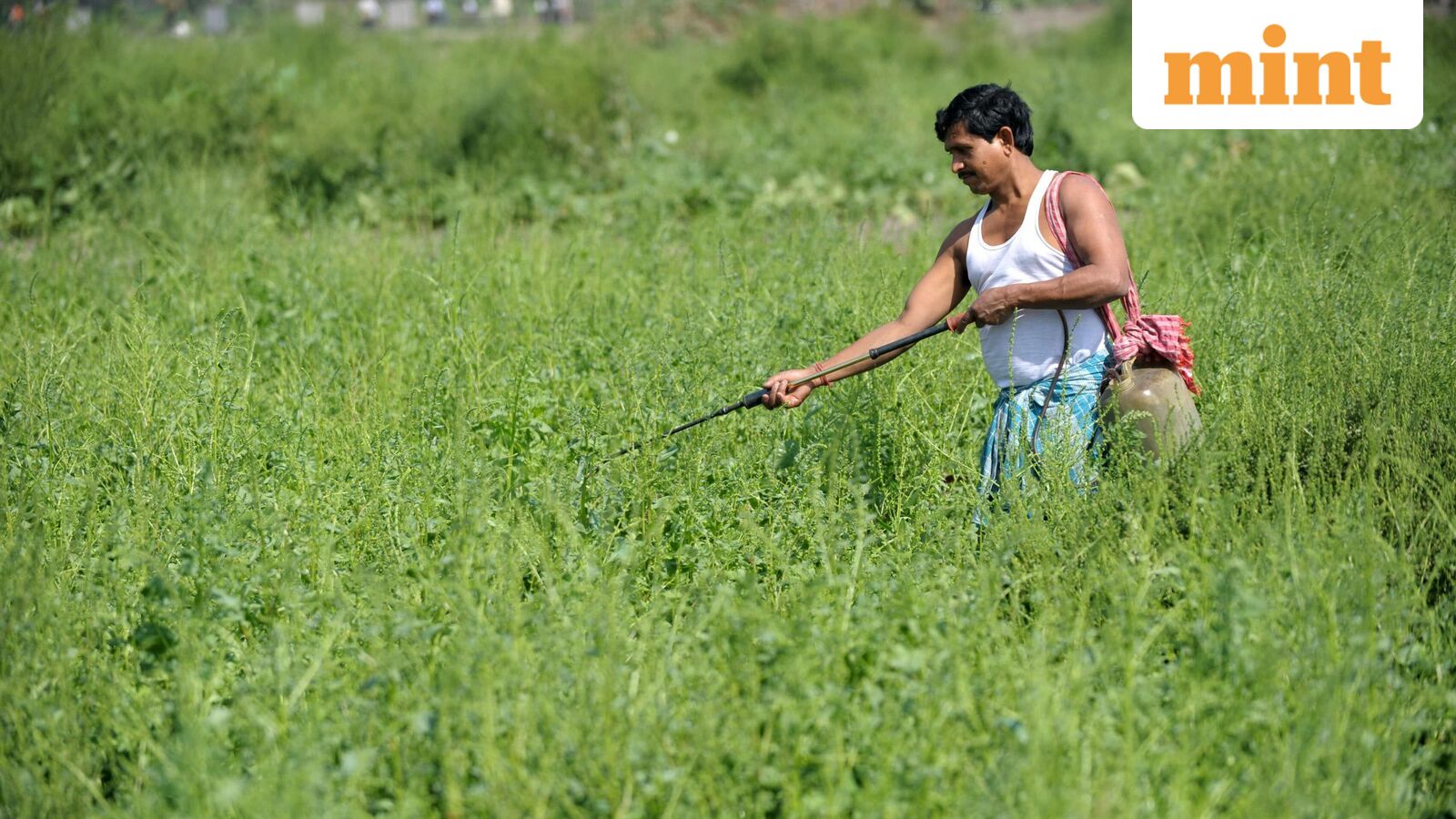 Budget 2026: From PM-KISAN to Seed Law - What’s in store for agriculture stocks
