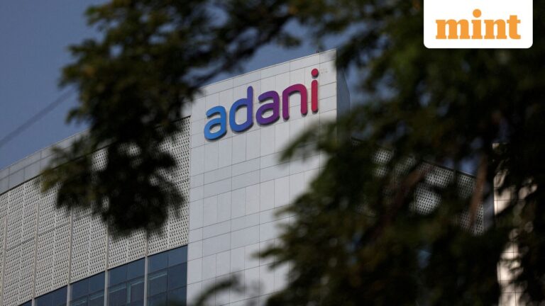 Adani Green, Adani Power to Adani Enterprises shares: Why are Adani Group stocks nosediving?