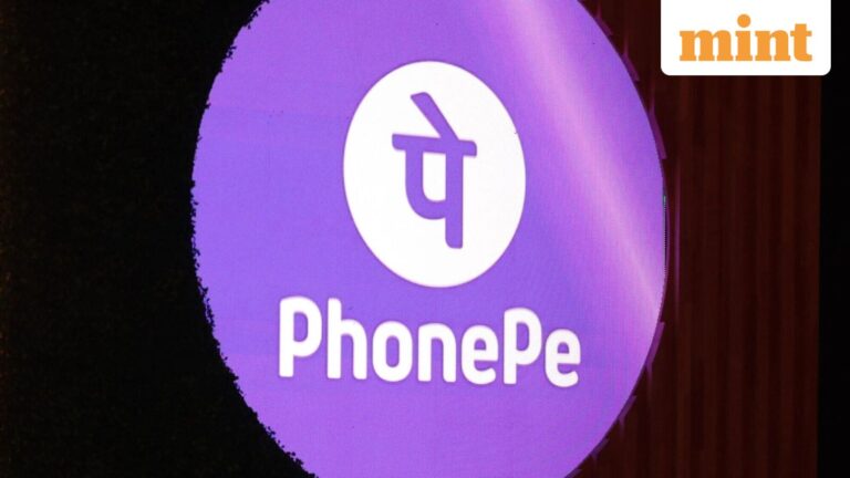 Walmart-backed payments giant PhonePe receives Sebi nod for IPO: Report