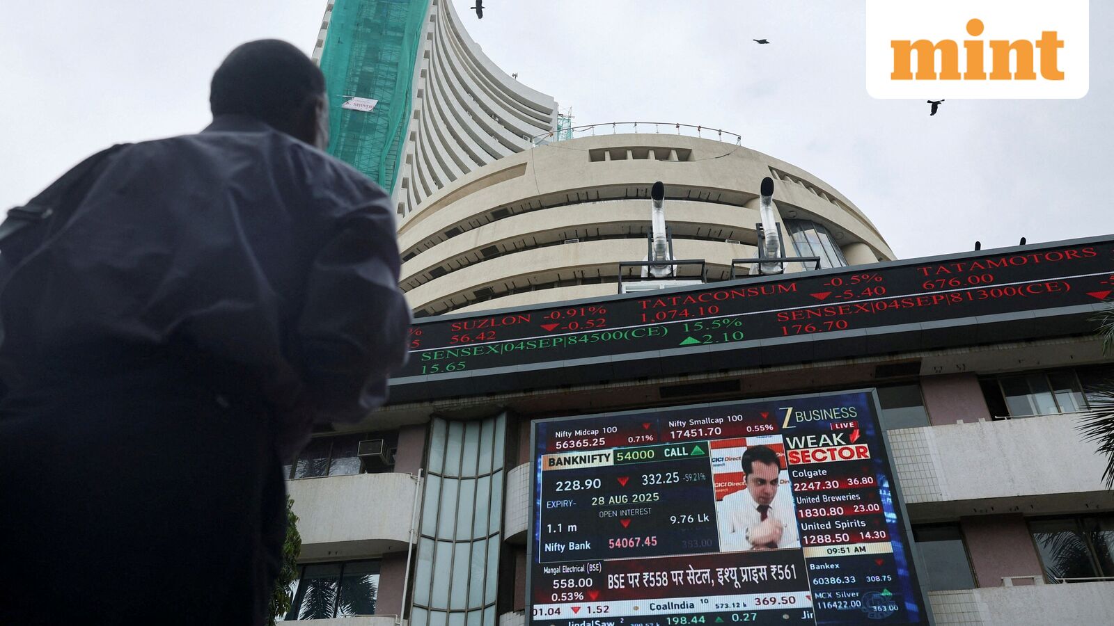 Why a handful of expensive stocks are holding up in the correction