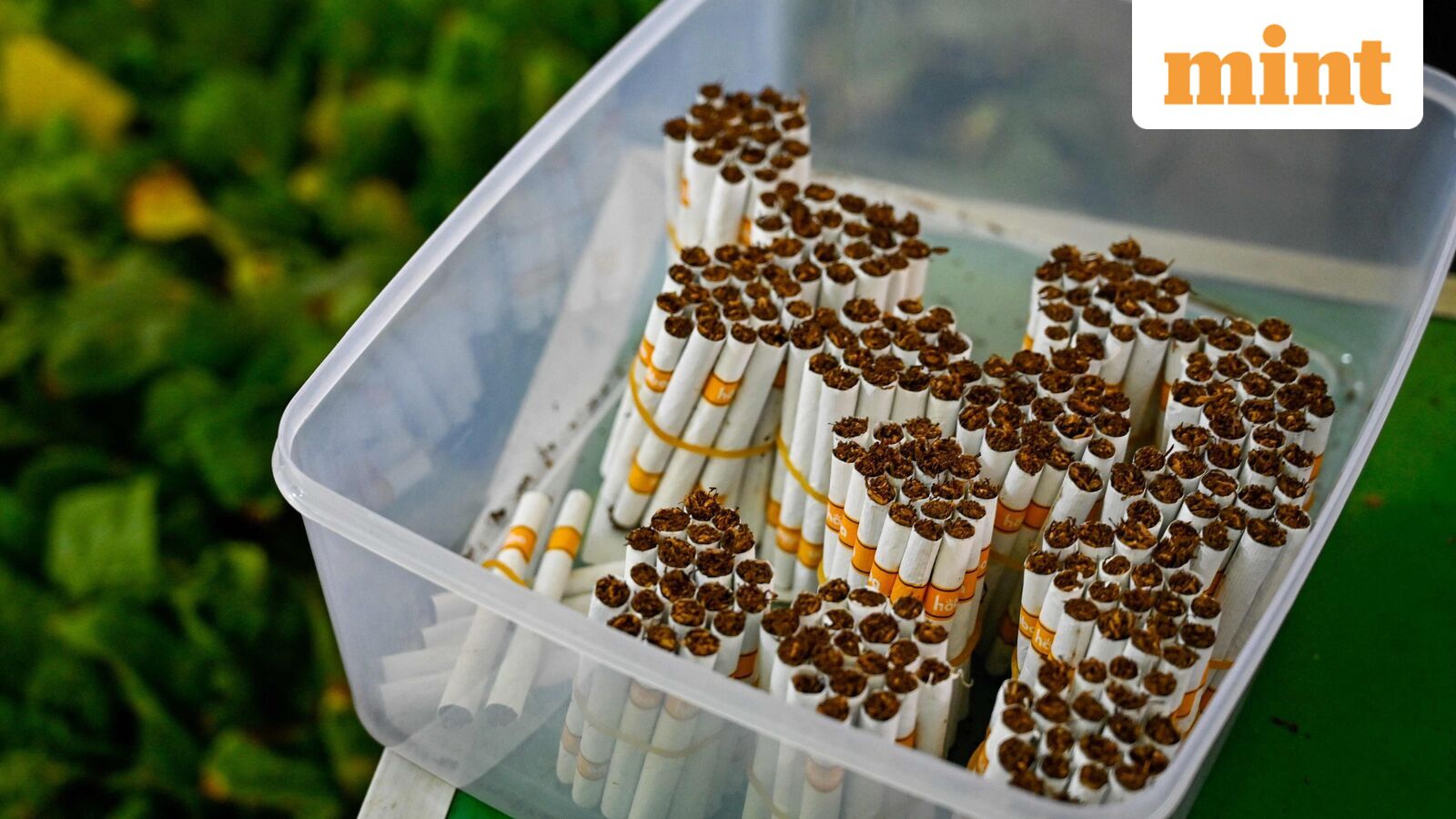 ITC, Godfrey Phillips shares tank up to 19% as govt announces excise duty on cigarettes effective February 1