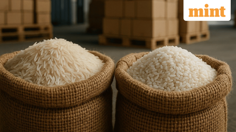 GRM Overseas to Kohinoor Foods — Basmati rice stocks fall up to 3.5% due to Iranian currency crisis