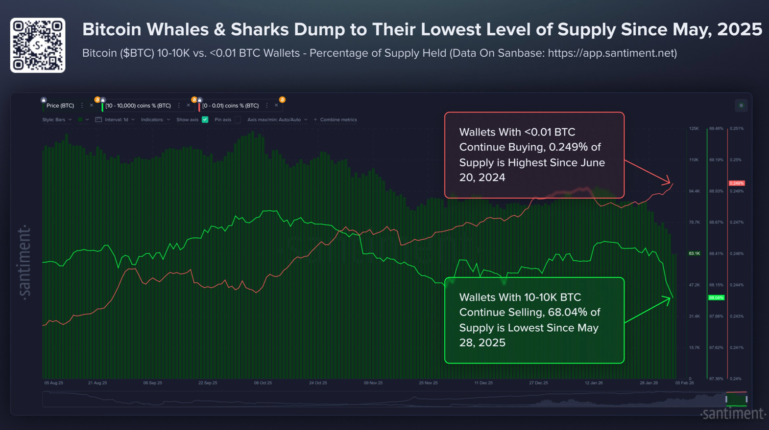 Large Bitcoin Holders Supply Hits 9-Month Low