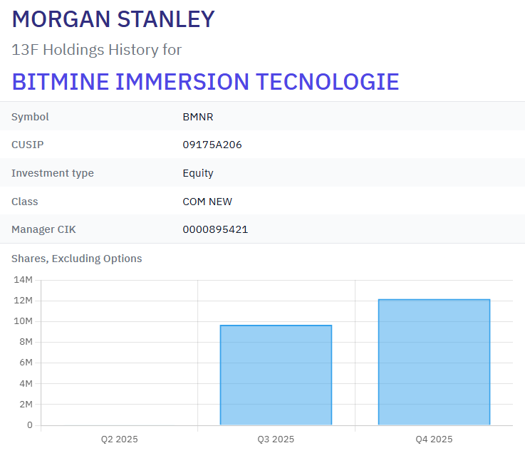 Morgan Stanley, Top Bitmine Shareholders Increased BMNR Holdings in Q4