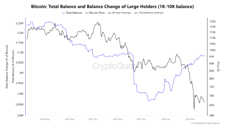 Cryptocurrencies, Bitcoin Price, Markets, Cryptocurrency Exchange, Binance, Price Analysis, Market Analysis, Liquidity, Whale