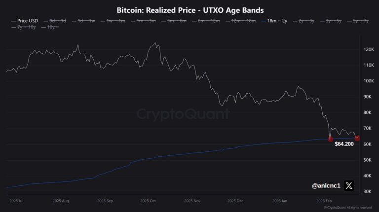 Cryptocurrencies, Bitcoin Price, Bitcoin Analysis, Adoption, Markets, Cryptocurrency Exchange, Price Analysis, Market Analysis