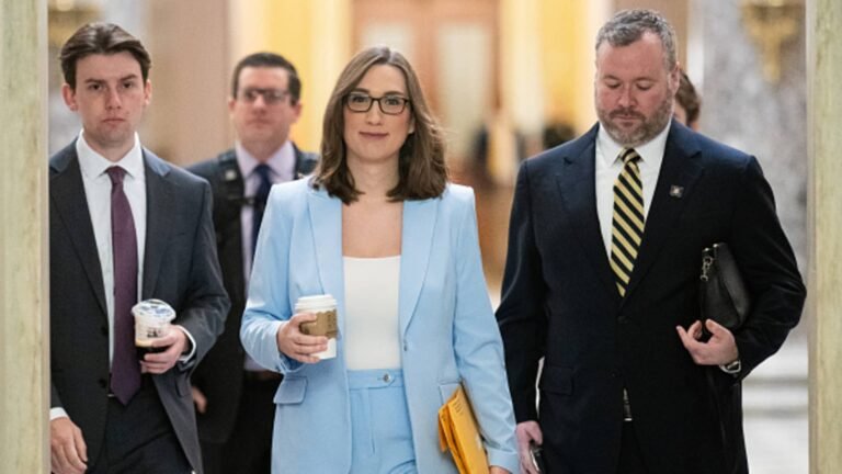 These Democrats aren't ready to jettison big business as party stalwarts shift left