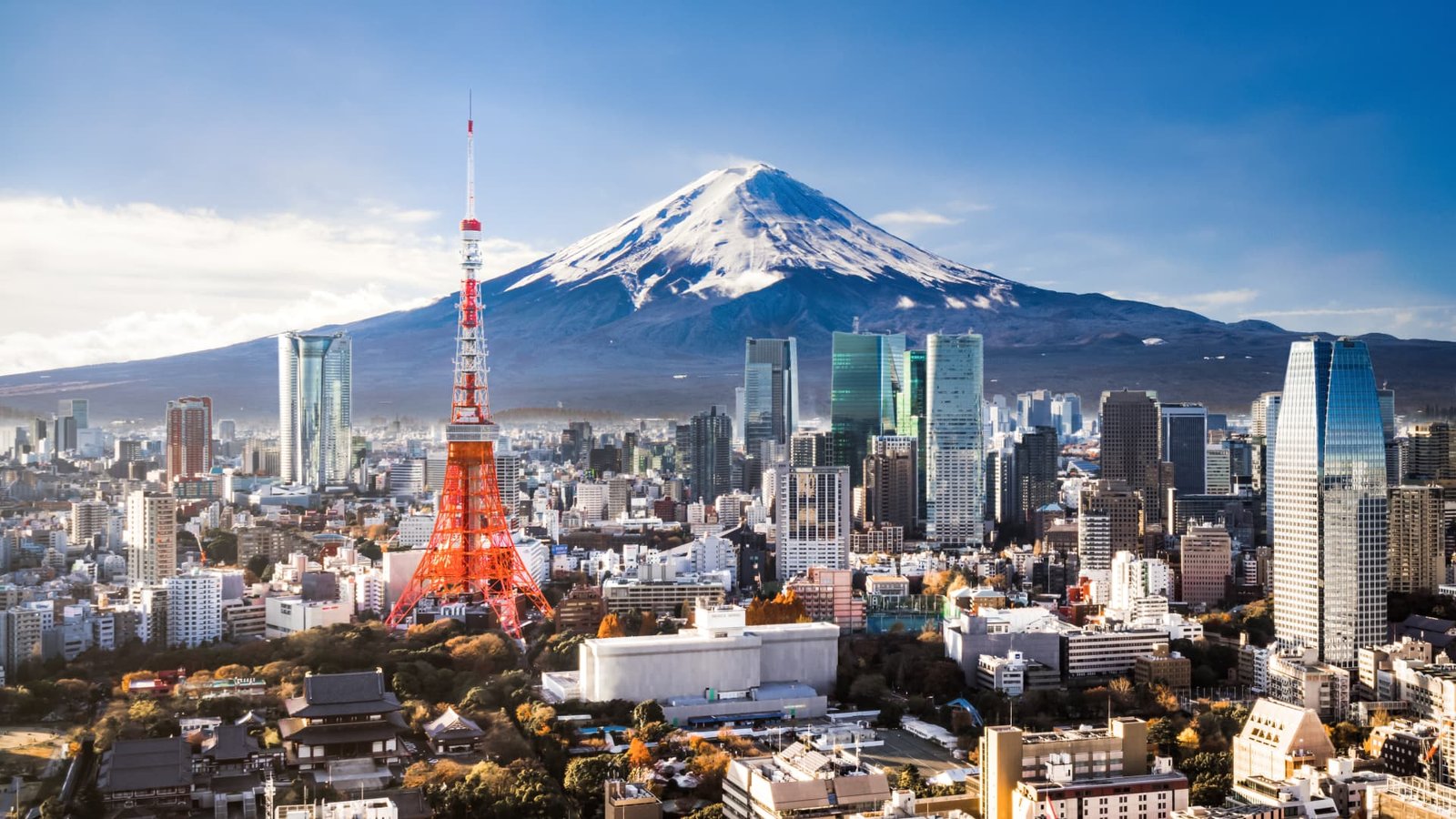 Japanese stocks have been hitting record highs. But the rally may be 'fragile'
