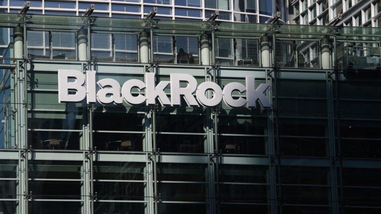 ValueAct's Morfit announces BlackRock position, says technology can make the company 'more powerful'