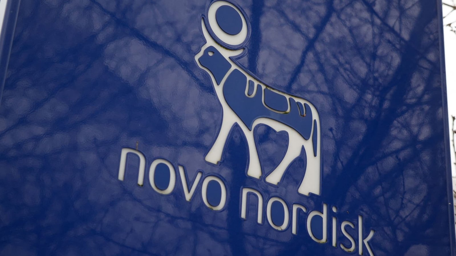 Novo Nordisk sues Hims & Hers over cheaper copycat versions of Wegovy pill, injections