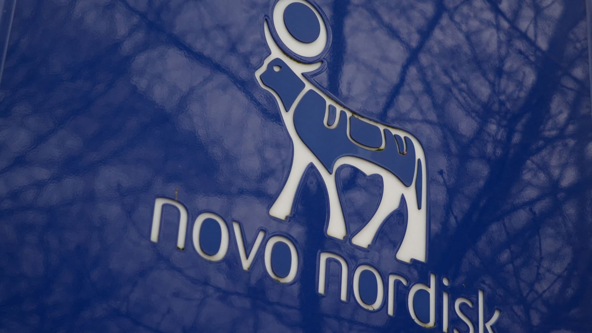Novo Nordisk sinks 10% after weight loss drug fails to match Eli Lilly's in trial