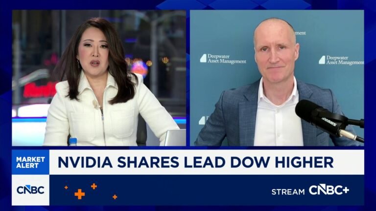 Software stocks to see near-term bounce, challenges over next five years: Deepwater's Munster