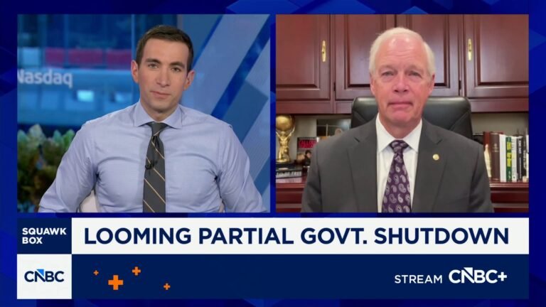 Sen. Ron Johnson: Democrats are trying to neuter ICE's ability to enforce our immigration laws