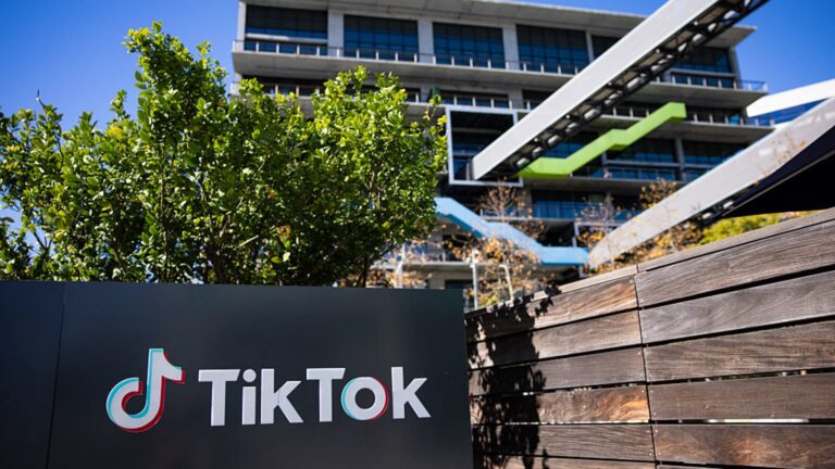 Much ado about nothing? TikTok's U.S. usership steadies after turbulent start